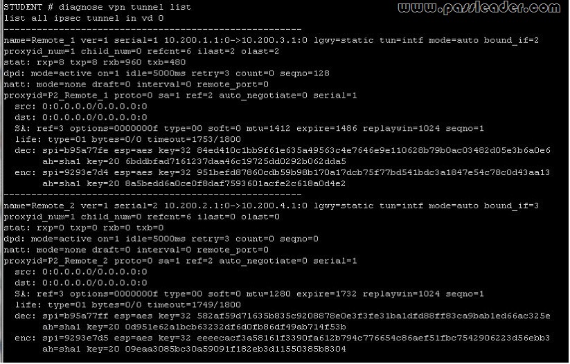 passleader-nse4-dumps-391