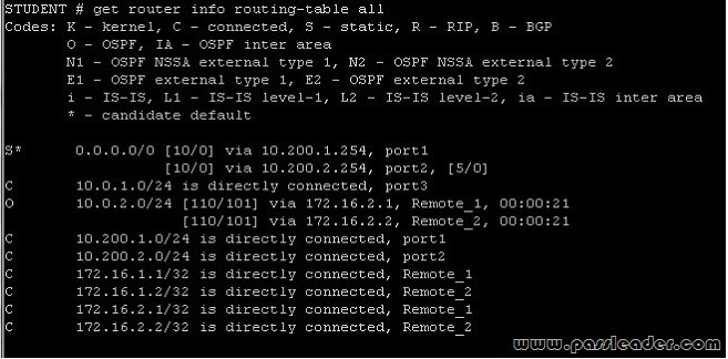 passleader-nse5-dumps-1141