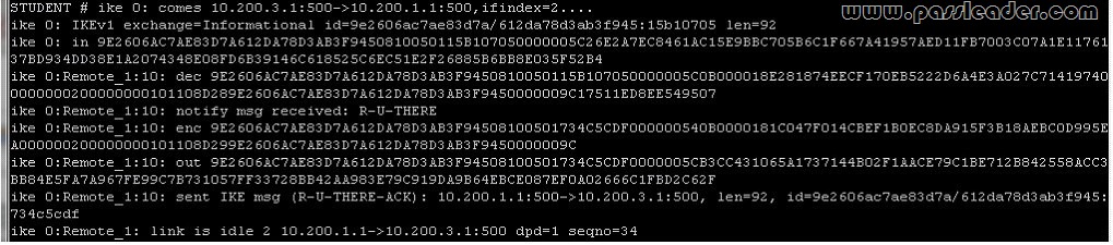 passleader-nse5-dumps-1221