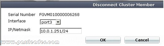 passleader-nse5-dumps-1311
