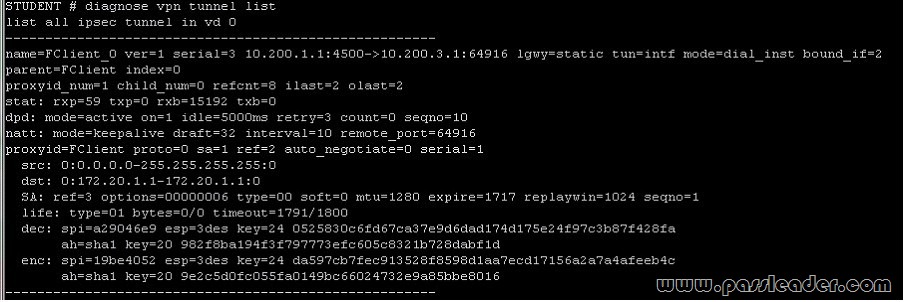 passleader-nse5-dumps-1331