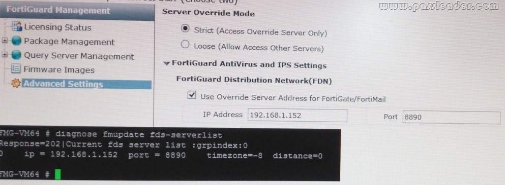 passleader-nse5-dumps-301